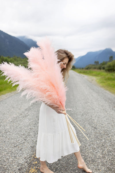 Light Pink Pampas Grass Spray - Kelea's Florals