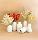 Vera Small Ceramic Vases Collection