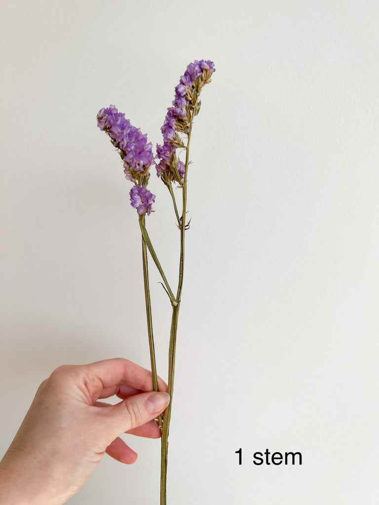 Purple Preserved Statice Flower