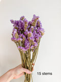 Purple Preserved Statice Flower
